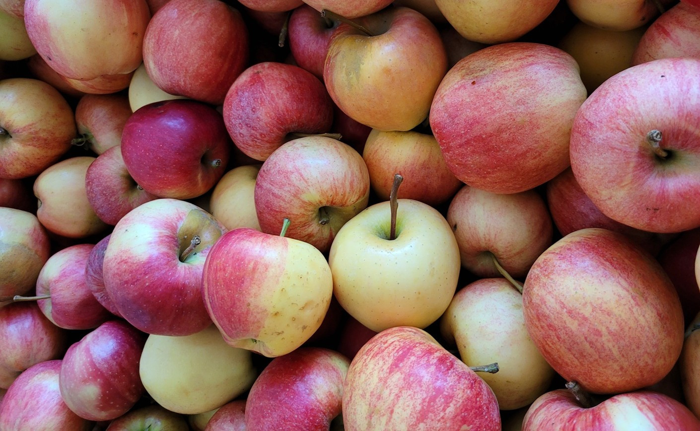 Muštujeme aj pre verejnosť !!!